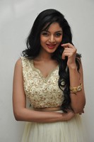 Sanam Shetty Photos at Srimanthudu Audio Release